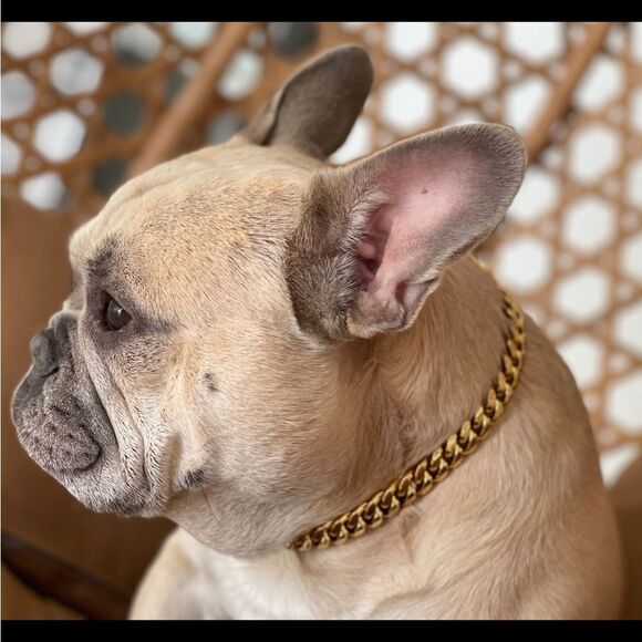 Dog Wide Cuban Link Stainless Pet Chain Gold Tone Collar Necklace Pet Accessory - Picture 5 of 12